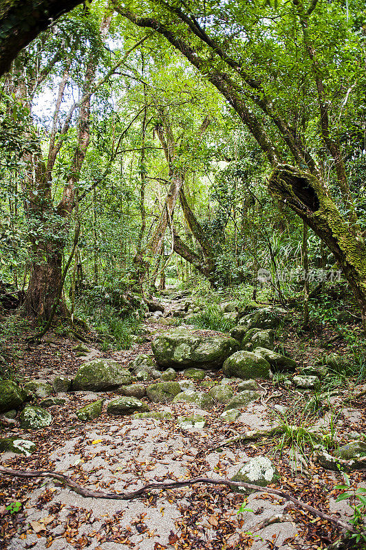 莫斯曼峡谷