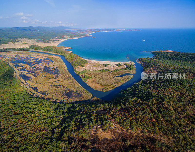 从绿色森林的嗡嗡声中俯瞰全景