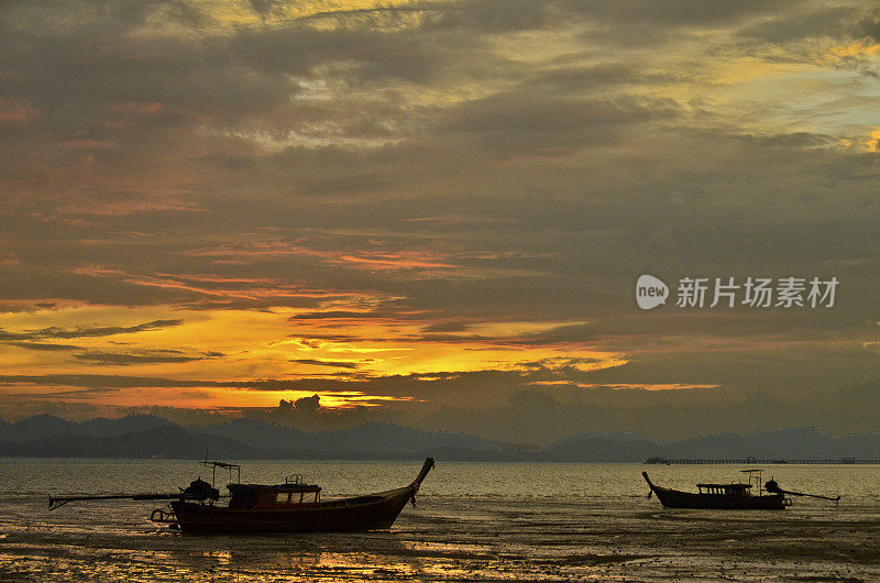 长尾在《暮光之城》