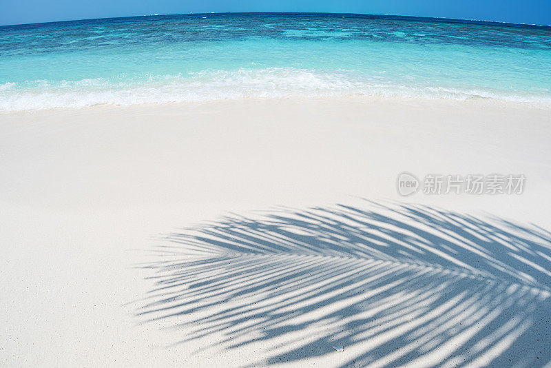 热带海滩的背景