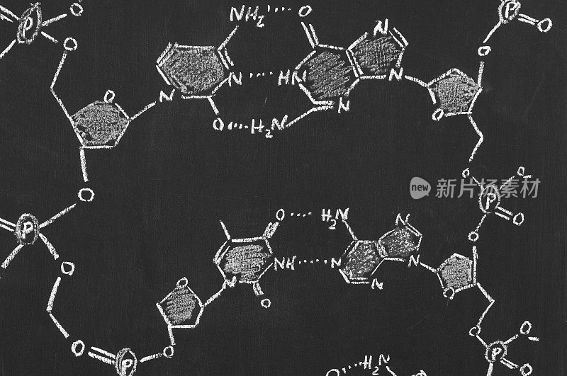 黑板上DNA的化学式