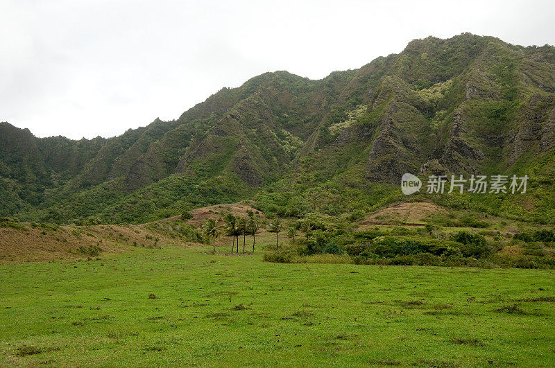 Kualoa谷