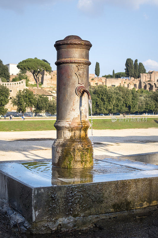 饮水机和帕拉廷山，意大利罗马