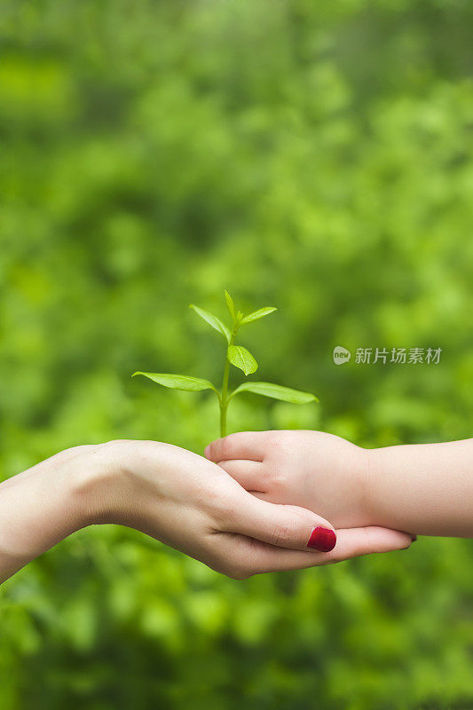 年轻的母亲在大自然中牵着婴儿的手