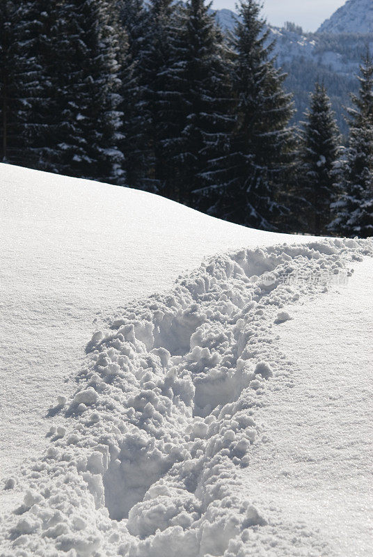 在雪地里行走