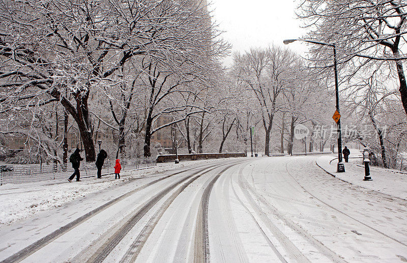 中央公园的冬天