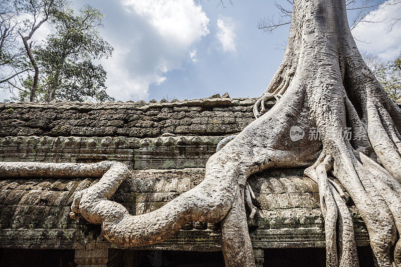 柬埔寨吴哥窟遗址塔普罗姆寺建筑群
