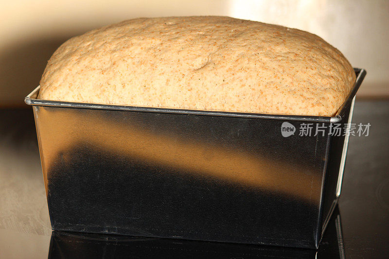 自制全麦面包面团，在面包盒中打样