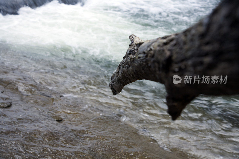 枯枝指向水面