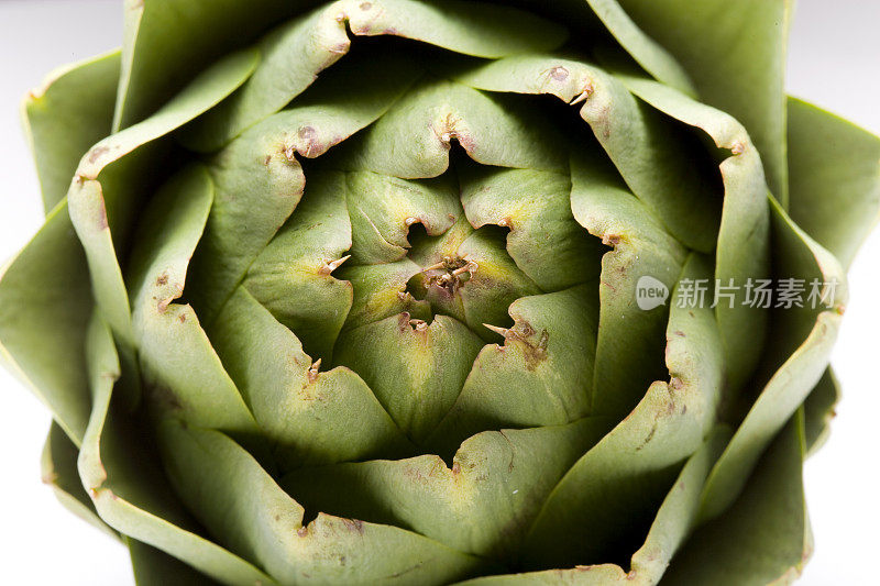 洋蓟的细节