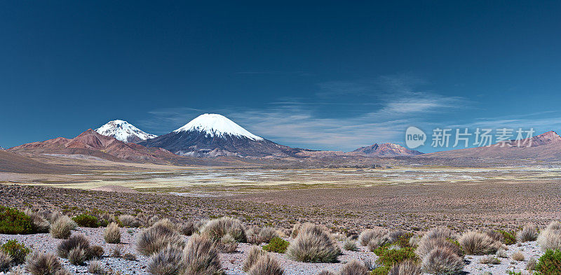 智利劳卡国家公园的帕里纳科塔火山