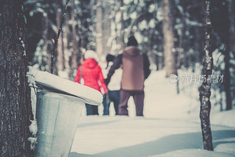 冬天森林里的家庭雪鞋