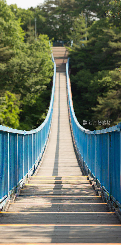 蓝色悬索桥垂直全景散焦版本