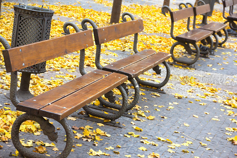 秋天城市公园里美丽的长椅