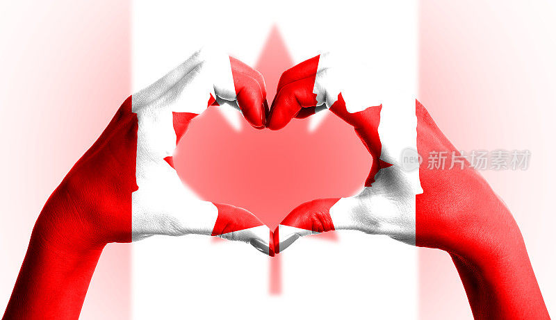 加拿大国旗在孤立的背景上心形的人的手