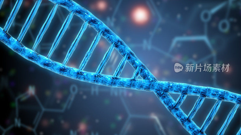 人类DNA数字插图