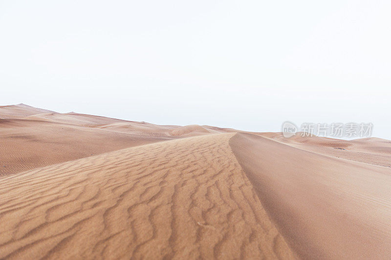 阿拉伯的沙丘