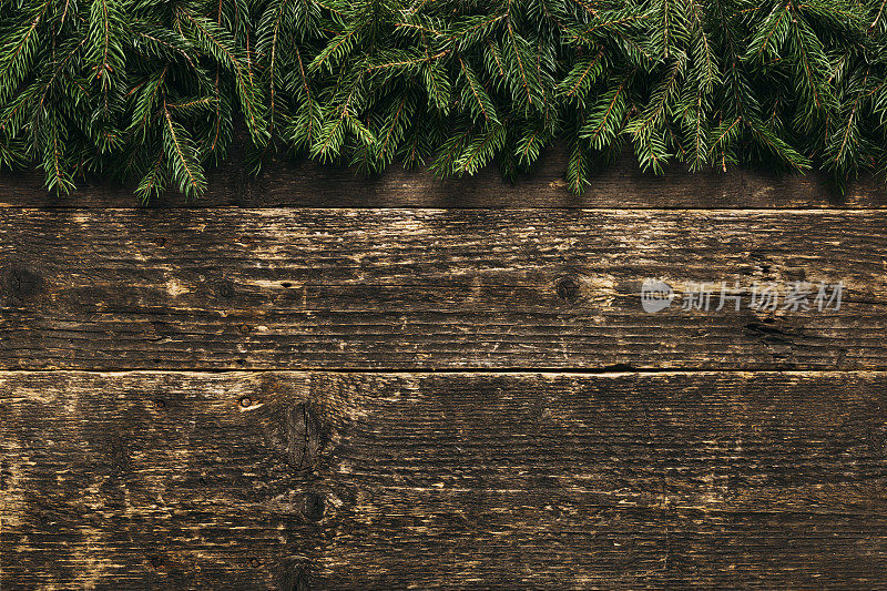 圣诞节背景，杉树枝木制的背景，节日横幅与拷贝空间