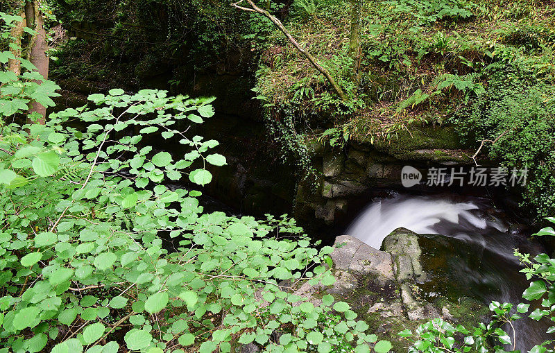 蒙茅斯郡和布雷肯运河