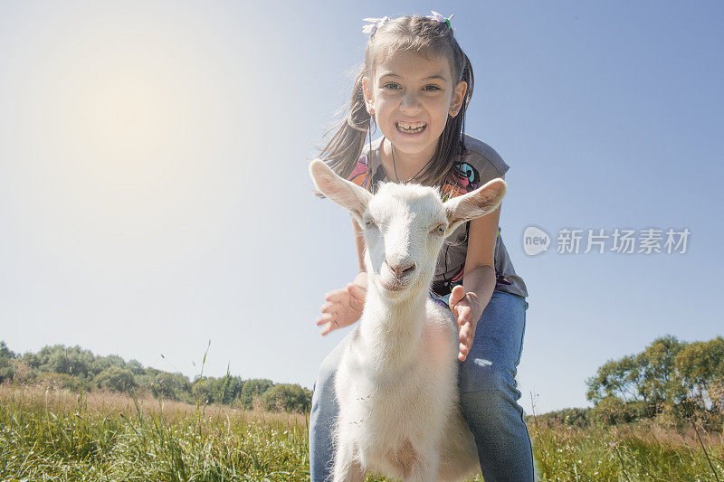 小女孩一边玩一边喂山羊。