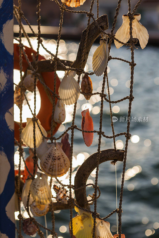 希腊塞萨洛尼基海岸的海贝壳作为装饰