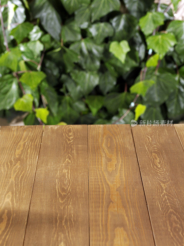 后院的空木桌