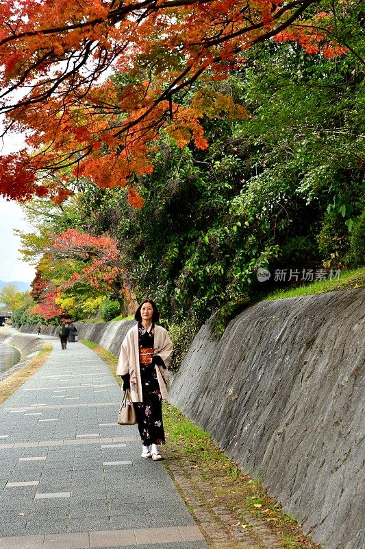 穿着和服的日本妇女沿着京都的加茂河行走