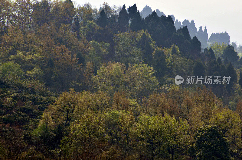 夕阳中的龙泉山