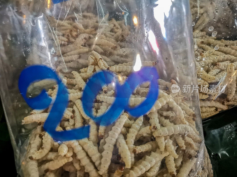 泰国北部当地传统新鲜食品市场上出售的竹幼虫。