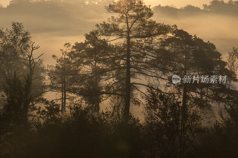 雾希思场景