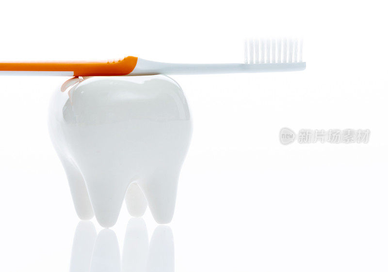 白色背景上的牙刷和牙齿模型