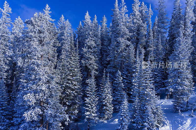 滑雪斜坡和缆车景观