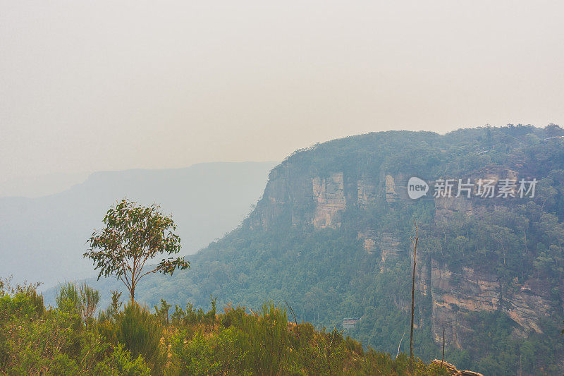 蓝山森林火灾标志性岩层“三姐妹”