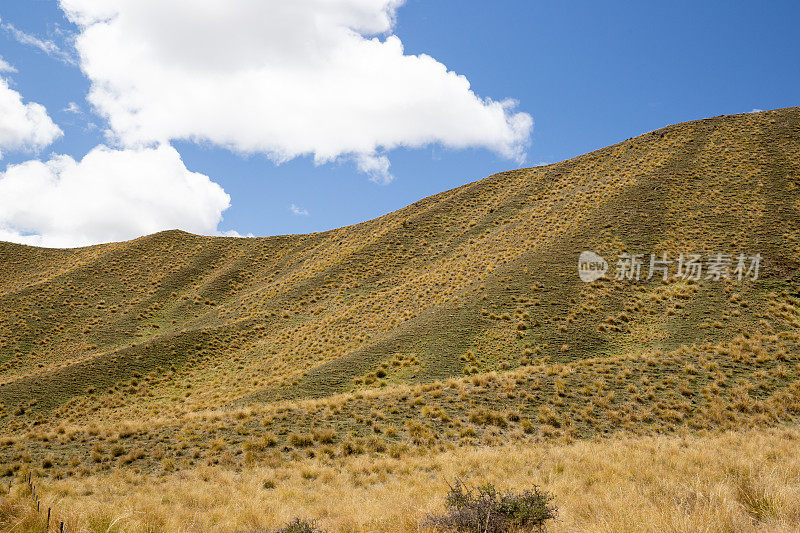 新西兰南岛林迪斯山口干燥干燥的山坡