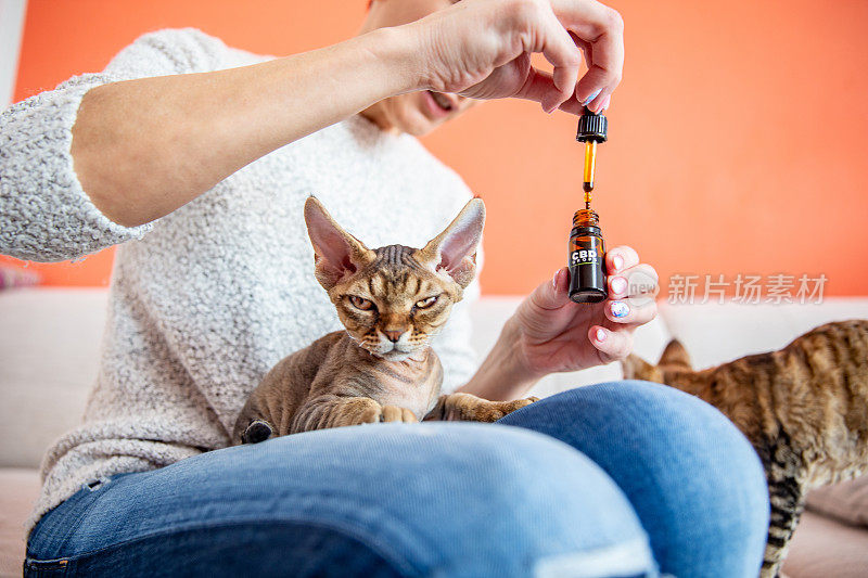 成年妇女给她的猫CBD油滴作为替代疗法-股票照片