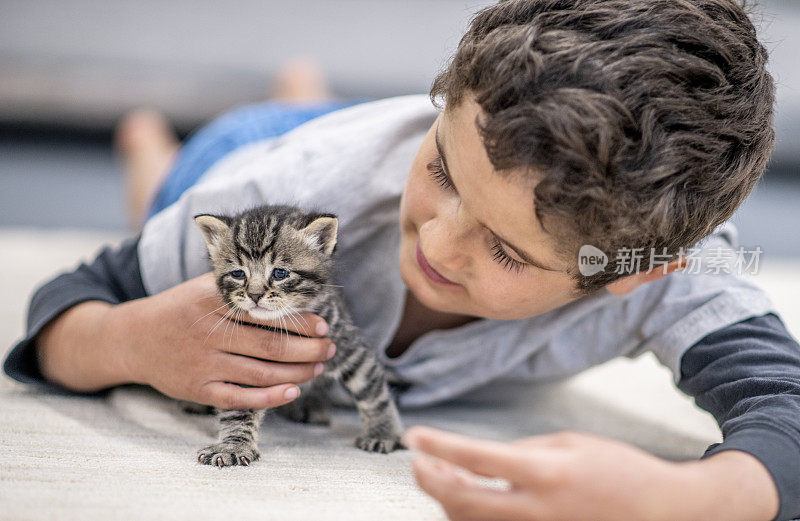 小男孩和他的小猫。