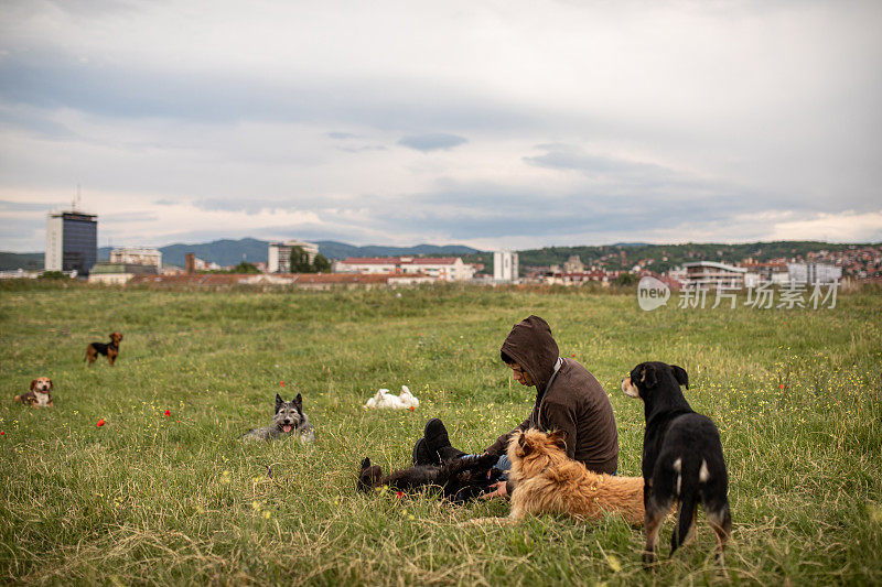 女遛狗者喜欢和一群被收养的动物在公园里