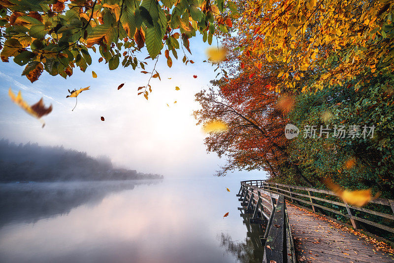 田园诗般的湖边秋景