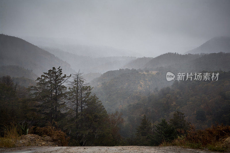 冬天的山场景