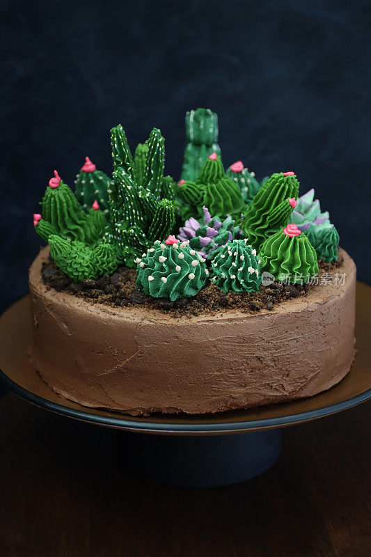 蛋糕架的图像包含分层，自制，装饰巧克力蛋糕的仙人掌花园细节，黄油糖霜仙人掌植物磨碎的巧克力剃须和饼干屑土壤，以黑暗的背景，高的视野，关注前景