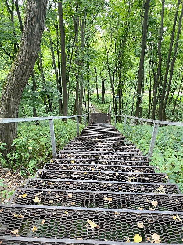 森林公园通往伏尔加河的楼梯，下诺夫哥罗德，俄罗斯