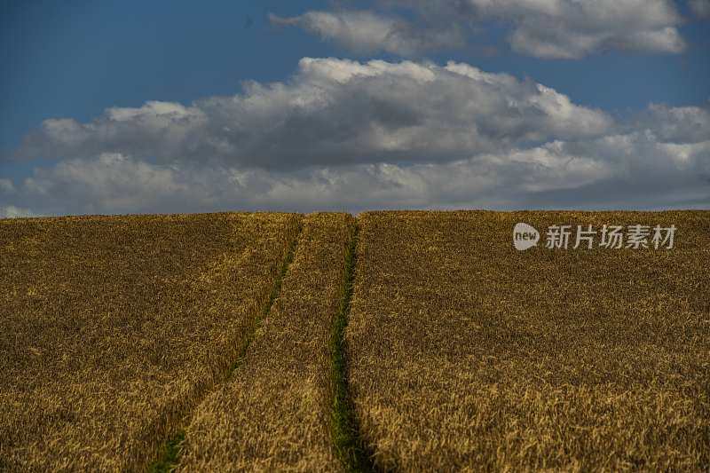 英国中部沃里克郡大田农场农业