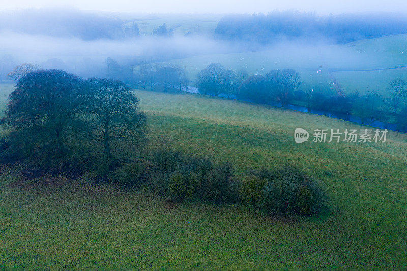 在苏格兰西南部的邓弗里斯和加洛韦，一个雾蒙蒙的早晨，无人机拍摄的高角度树木