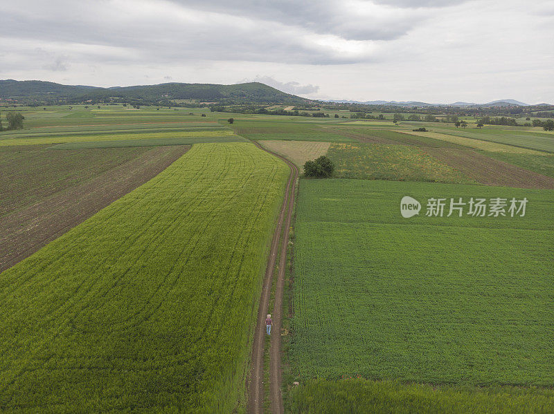 一个成年的农民在他绿色的农场里在春天的时候耕种田野。鸟瞰图。