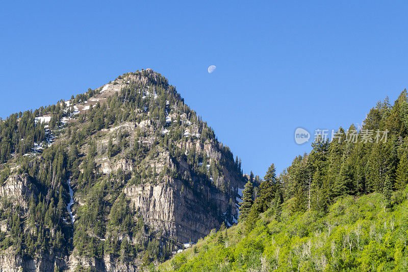 犹他州圣丹斯和Timpanogos山附近春季徒步旅行山上的最后一场雪