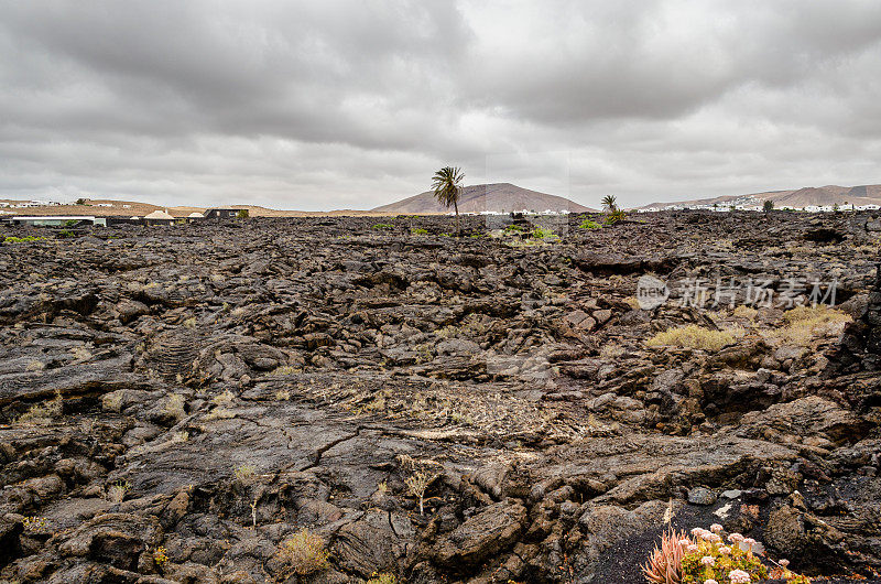 官方网,火山熔岩。