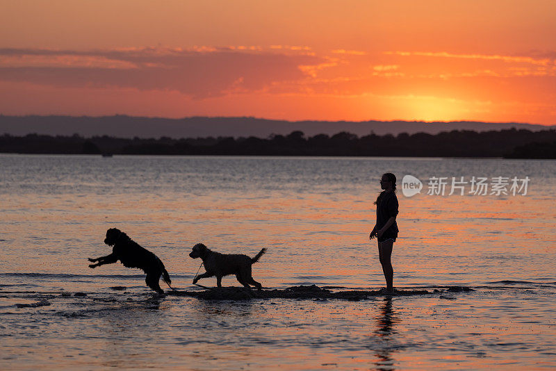 女孩和她的狗在日落