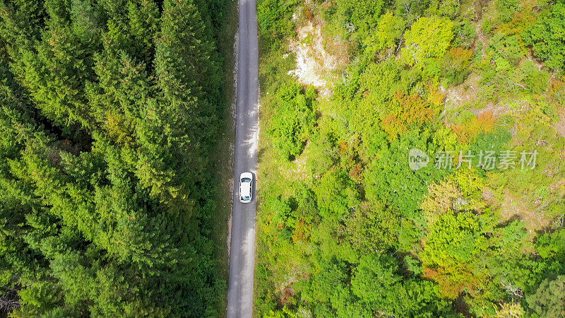 穿越森林的公路旅行