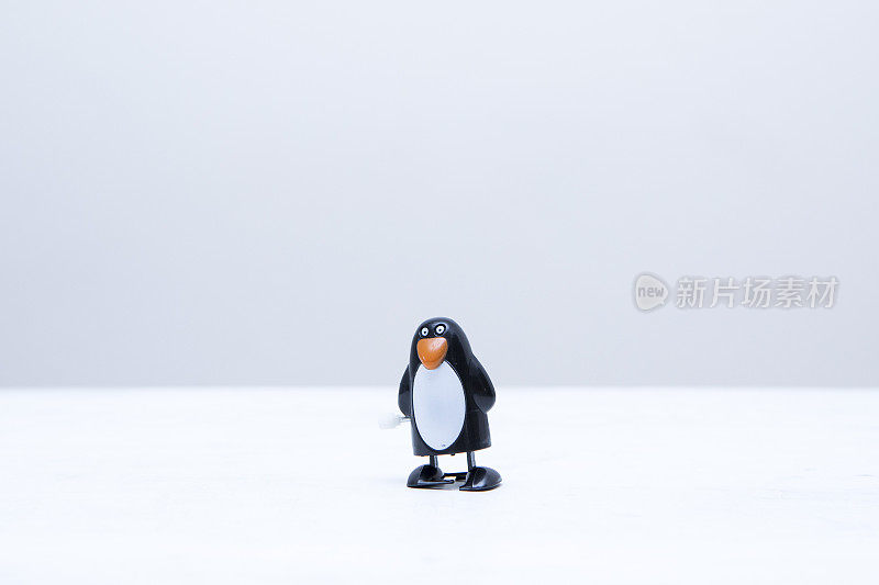 单发条企鹅玩具与复制空间上面