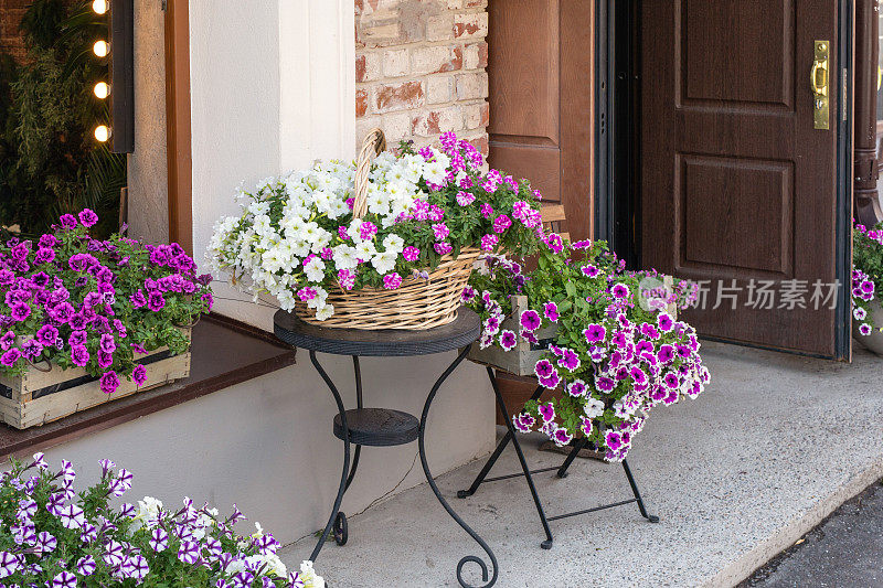 大街上，白色和紫色的矮牵牛花盛开在柳条篮里和木盒里。室外装饰